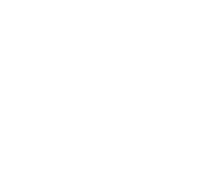 Summit Point Roofing logo